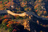 2014年10月14日，北京，八达岭国家森林公园，红叶岭金秋红叶美景。