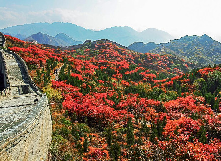 Beijing offers a kaleidoscope of fall colors