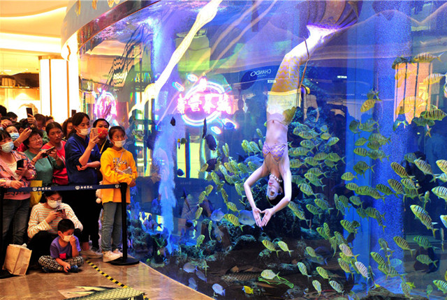 上海：“美人鱼”荟萃新世界水族馆