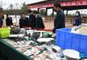 Archaeological experts watch excavated relics at the Yangshao Village national archaeological park in Mianchi County, central China's Henan Province, Oct. 17, 2021. The park officially opened to public here on Sunday. In 1921, the first excavation on the Yangshao Village site, which is in Mianchi County, Henan Province, marked the birth of Chinese archaeology. The name of China's first-known archaeological culture, the Yangshao Culture, was also derived from the site. In 1951 and 1980, China launched the second and third excavation of the ruins. Originating around the middle reaches of the Yellow River, the Yangshao Culture is considered an important stream of Chinese civilization, and is widely known for its advanced pottery-making technology. The fourth archaeological excavation of the Yangshao Village site began on Aug. 22, 2020, and is still in progress. (Xinhua/Li He)