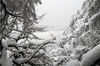 2021年10月20日，河南鲁山，尧山迎来降雪天气，景区银装素裹犹如仙境。