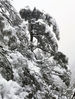 2021年10月20日，河南鲁山，尧山迎来降雪天气，景区银装素裹犹如仙境。