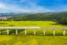 2021年10月23日，广西梧州市龙圩区大坡镇河步村，万亩金黄的稻田与过境的广昆高铁，构成一幅美丽乡村画卷。