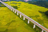 2021年10月23日，广西梧州市龙圩区大坡镇河步村，万亩金黄的稻田与过境的广昆高铁，构成一幅美丽乡村画卷。