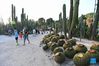 People visit the Xiamen Botanical Garden in Xiamen, southeast China's Fujian Province, Oct. 5, 2021. Outdoor public places in Xiamen started to reopen from Oct. 5, as the results of the sixth round of citywide nucleic acid testing all came out negative. (Xinhua/Jiang Kehong)