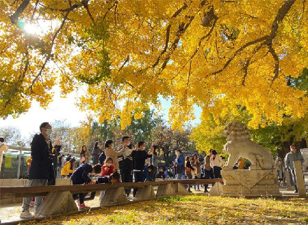 In pics: autumn scenery across China