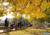 Photo taken with a cellphone on Oct. 31, 2021 shows people visiting Wuta (five-pagoda) Temple in Beijing, capital of China. (Xinhua/Wang Qingqin)