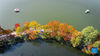 Aerial photo taken on Oct. 31, 2021 shows the autumn scenery in Nanjing, east China's Jiangsu Province. (Photo by Su Yang/Xinhua)