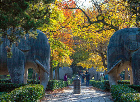 Shixiang Street: the most beautiful 600-meter road in Nanjing