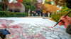 The 600-meter Shixiang Street was entitled to every color you may know: red from beeches, yellow from gingkos, orange from Chinese tallow trees, brown from plane trees and green from Sabina chinensis. The intoxicating picture of fall was unfolded. 