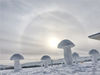 2019年11月30日，黑龙江省漠河市，北极村上空出现日晕，中国最北一家旅馆前，各式各样的雪雕蘑菇定格在日晕中，散发奇炫魅力。签约供稿人/视觉中国