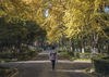 2021年11月19日，南京大学鼓楼校区银杏金黄和古建筑相映成趣，令人沉醉。来源：薛金龙/视觉中国 编辑/刘佳
