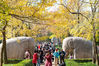 Strolling along the Shixiang Road in the Imperial Mausoleum of the Ming Dynasty, you can see the most well-known ginkgo scenery in Nanjing.