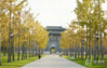 On the Ginkgo Avenue in Songjiacheng Park, Yangzhou, nearly a thousand ginkgo trees have been dyed in golden hue.