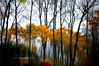 2021年11月21日，江苏省淮安市，小雪节气将至，冷空气骤降，古淮河生态景区的各种植物以红、黄、绿为主色调，相映生辉，交织炫彩，分外妖娆。
