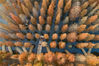 2021年11月27日，江苏省宿迁市泗洪县洪泽湖湿地旅游度假区，游客乘坐竹筏在梦幻水上森林景区游玩。来源：视觉中国 


