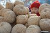 A child buys “sugar melon”, a Lunar New Year snack made of malt sugar, glutinous rice and sesame, in Yiyuan county, East China's Shandong province, Feb 10, 2015. [Photo/Xinhua]