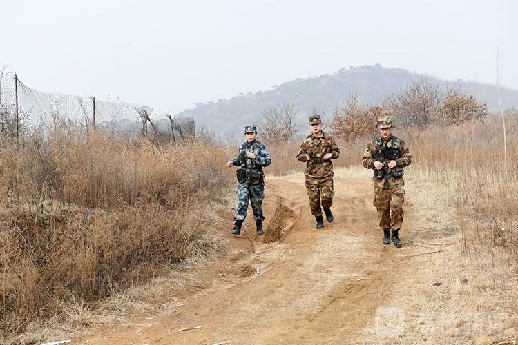 演练|联勤保障部队第960医院与火箭军某部联合开展卫勤演练|荔枝军事