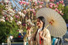 2021年2月21日，江西省抚州市广昌县城河东新区，身着汉装的游客正在盛开的玉兰花前赏花拍照。