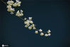 2021年2月3日，贵州从江，在刚边乡三百河河畔拍摄的木姜花。 罗京来/IC photo
