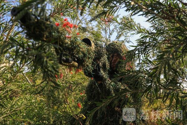 狙击手|实战化锤炼狙击手练就过硬本领|荔枝军事