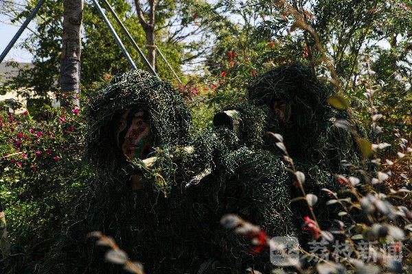 狙击手|实战化锤炼狙击手练就过硬本领|荔枝军事