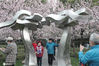 2021年2月22日，上海，上海静安雕塑公园的樱花林早樱盛开，美景如画，吸引了诸多市民前去打卡留影。
