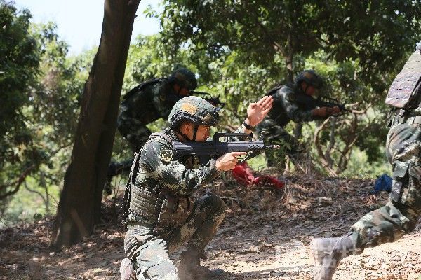 训练|常备不懈,武警官兵实战化训练如火如荼|荔枝军事