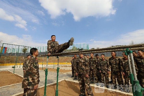 课目|勤训轮换练兵忙 多课目全面展开|荔枝军事