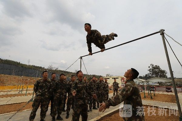 课目|勤训轮换练兵忙 多课目全面展开|荔枝军事