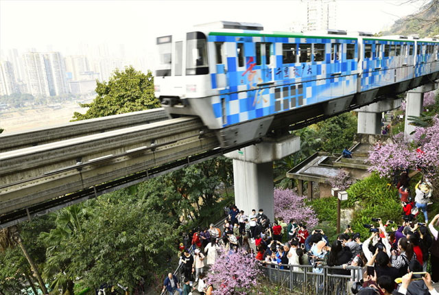 重庆开往春天的地铁成网红 引来打卡狂潮