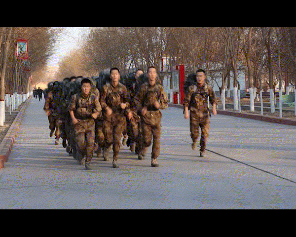 准备|驻训准备，厉兵秣马意正浓|荔枝军事