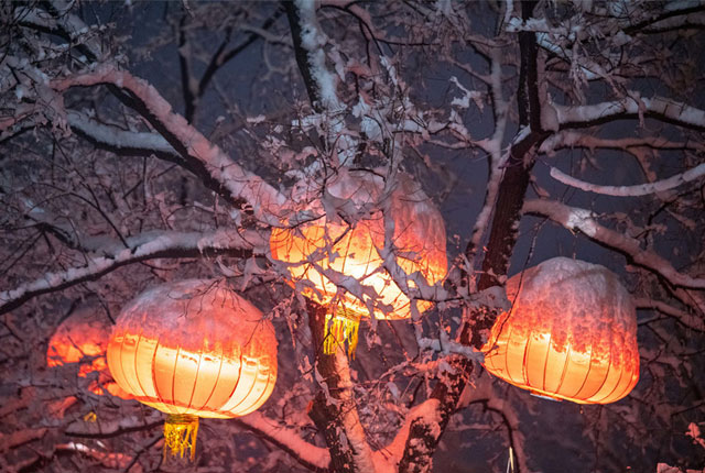 河南雨雪继续！郑州市区降大雪红灯笼变白
