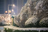 2021年2月25日，河南郑州，24日晚郑州经历了突如其来的降雪后，市区内道路上满是积雪。春节悬挂的大红灯笼上也落满白雪，红白相间甚是好看！