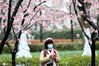 2021年2月28日，上海。时下，上海静安雕塑公园内樱花怒放美不胜收，引来不少市民前来打卡赏花，春雨中，不少摄影爱好者操着长枪短炮到此拍摄创作。