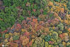 2020年10月28日，山东枣庄，深秋时节，山亭区抱犊崮国家森林公园层林尽染，五彩斑斓的树木在高空俯瞰宛如一幅幅绝美的油画。李宗宪/IC photo
