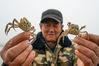 A villager shows small crabs that are going to be put into water at a crab breeding base in Suining county, Xuzhou city, Jiangsu province, March 11, 2021. In recent years, the county adjusted measures to local conditions and promoted complex ecological agriculture mode, which combines the planting of rice with breeding of economic aquatic animals such as crabs, shrimps and fish, advancing rural revitalization. [Photo/Xinhua]