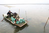 A villager puts small crabs into water at a crab breeding base in Suining county, Xuzhou city, Jiangsu province, March 11, 2021. [Photo/Xinhua]