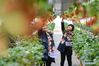 Farmers pick strawberries in Lishui District of Nanjing, east China's Jiangsu Province, March 13, 2021. Local authorities in Lishui have been promoting strawberry industry in recent years. A series of measures have been taken to boost the strawberry industry including introducing advanced planting technology and expanding sales channels. Currently, over 20,000 mu (1,333 hectares) of strawberry crops are cultivated in Lishui District, yielding some 30,000 tonnes of fruit in 2020. The output value exceeded 600 million yuan (92 million U.S. dollars) last year. (Xinhua/Ji Chunpeng)