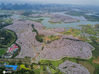 2021年3月11日，贵州省安顺市西秀区黄腊乡种植的数千亩樱花竞相绽放，花海如云似雪，蔚为壮观，令人陶醉，吸引游客前往观赏。