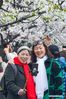 Tourists take selfies with cherry blossoms at Jimingsi Road in Nanjing, east China's Jiangsu Province, March 16, 2021. Cherry blossoms in Nanjing are in full bloom recently. (Xinhua/Li Bo)