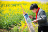 A student from Changjiang town, Rugao concentrates on his painting depicting the picturesque rapeseed flower field on March 13. [Photo/IC]