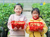 Children from Changjiang town, Rugao show off their freshly-picked strawberries on March 14. [Photo/IC]