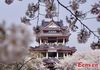 The building in traditional design provides a ideal spot for viewers.(China News Service/Sun Quan)
