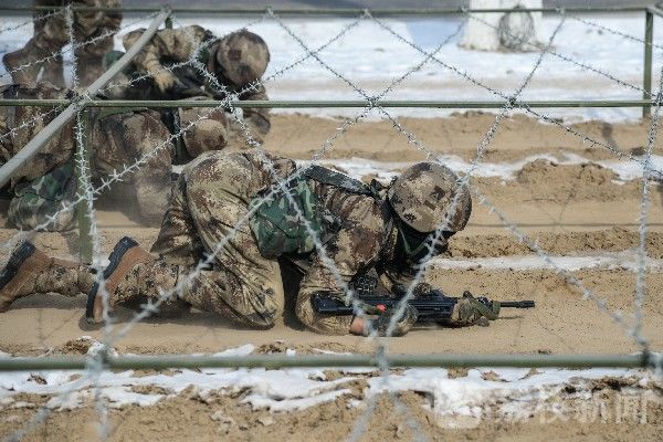 士官|定向培养士官在成长|荔枝军事