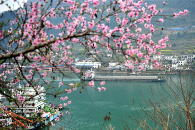 湖北宜昌：春来江水绿如蓝 船只畅行峡江如画风景中