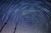 
Yeludang China Conservation Area for Dark and Starry Sky in Yancheng, East China's Jiangsu province, is one of the best places in the country to view stars and planets with the naked eye. [Photo provided to chinadaily.com.cn]