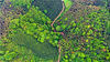 2021年4月28日，在江西省吉安市泰和县老营盘镇竹山村，空中俯瞰茂盛的天然林，山区公路蜿蜒穿行在多彩的森林中，美丽如画。近年来，泰和县树立“绿水青山就是金山银山”的理念，推行林长制，加大对生态公益林、天然林保护力度，助力生态绿色高质量发展。