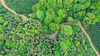 2021年4月28日，在江西省吉安市泰和县老营盘镇竹山村，空中俯瞰茂盛的天然林，山区公路蜿蜒穿行在多彩的森林中，美丽如画。近年来，泰和县树立“绿水青山就是金山银山”的理念，推行林长制，加大对生态公益林、天然林保护力度，助力生态绿色高质量发展。
