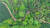 2021年4月28日，在江西省吉安市泰和县老营盘镇竹山村，空中俯瞰茂盛的天然林，山区公路蜿蜒穿行在多彩的森林中，美丽如画。近年来，泰和县树立“绿水青山就是金山银山”的理念，推行林长制，加大对生态公益林、天然林保护力度，助力生态绿色高质量发展。来源：视觉中国 